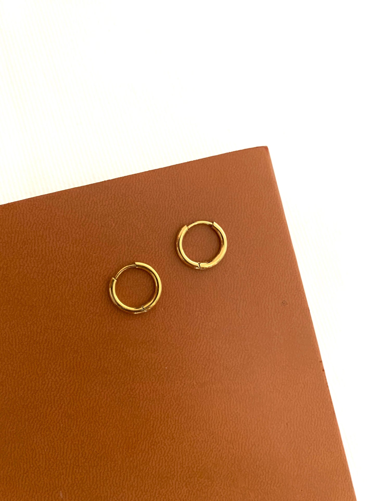 Mini stainless steel hoop earrings